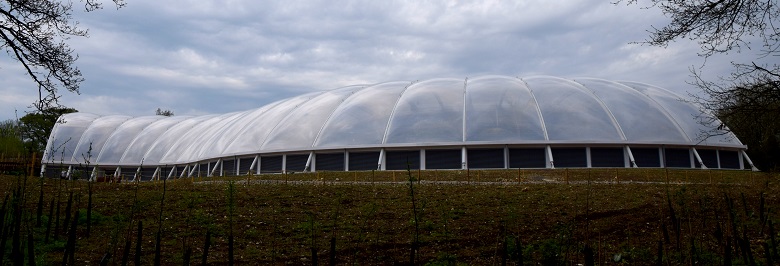 New build Tropical House at zoological garden